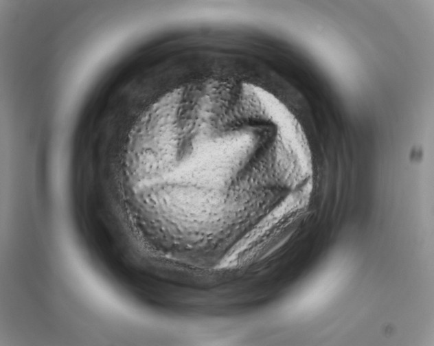 X0000094080383200711091221
