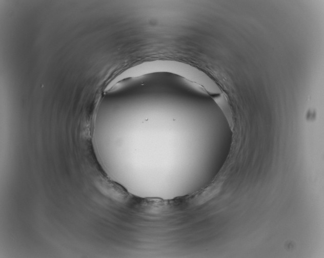 X0000094080384200711091221