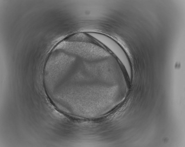 X0000094080385200711091220