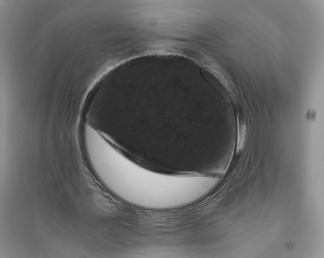 X0000094080387200711091220