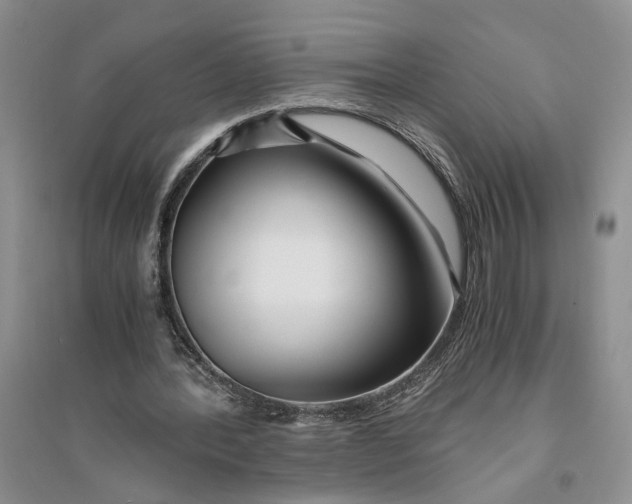 X0000094080388200711091220