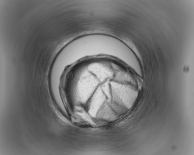 X0000094080389200711091220
