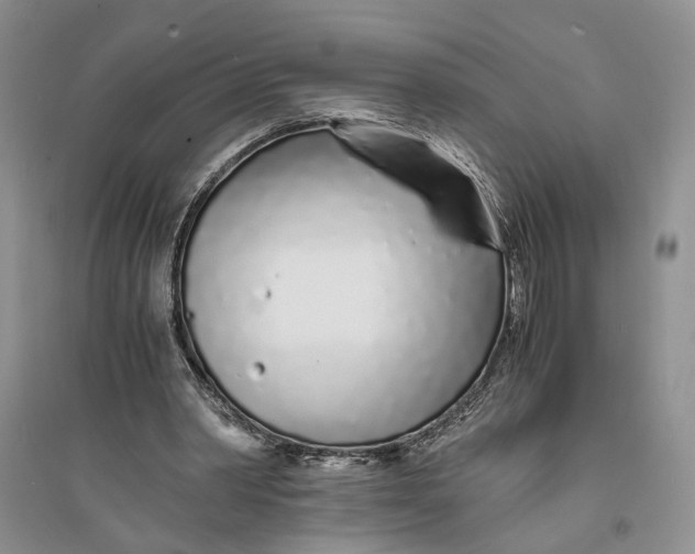 X0000094080390200711091220