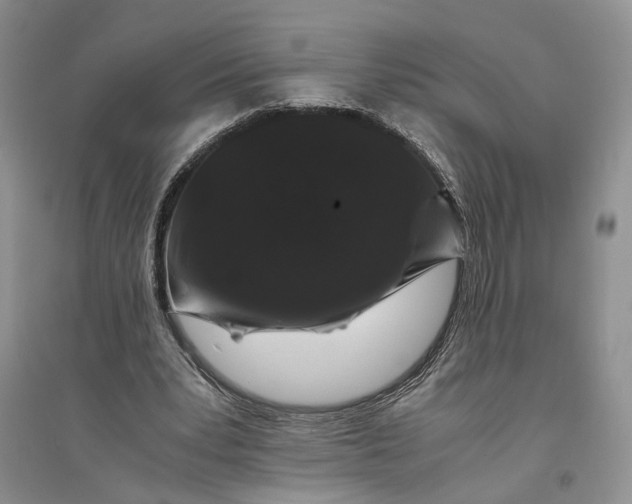 X0000094080391200711091220