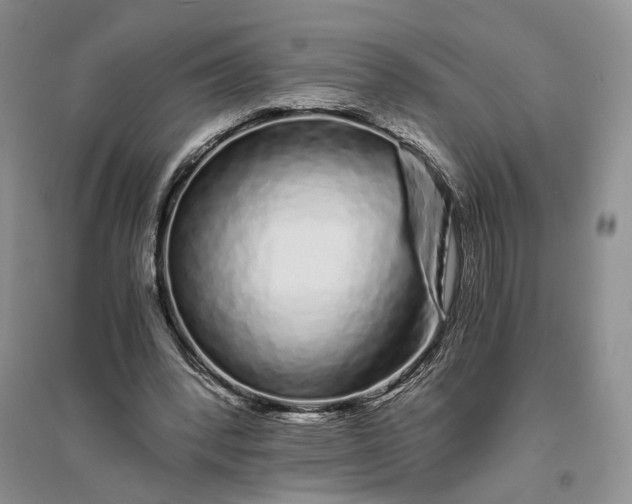 X0000094080392200711091220
