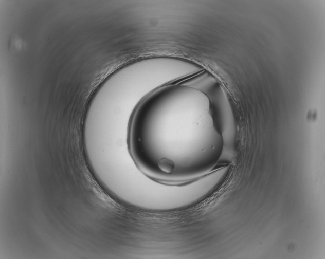 X0000094080393200711091220
