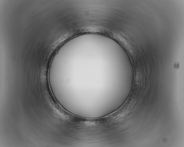 X0000094080394200711091220