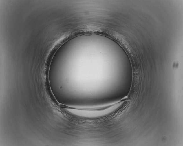 X0000094080395200711091220