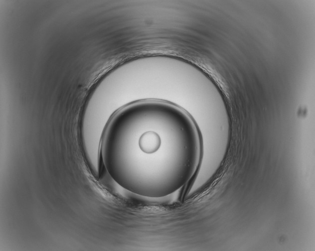X0000094080397200711091220