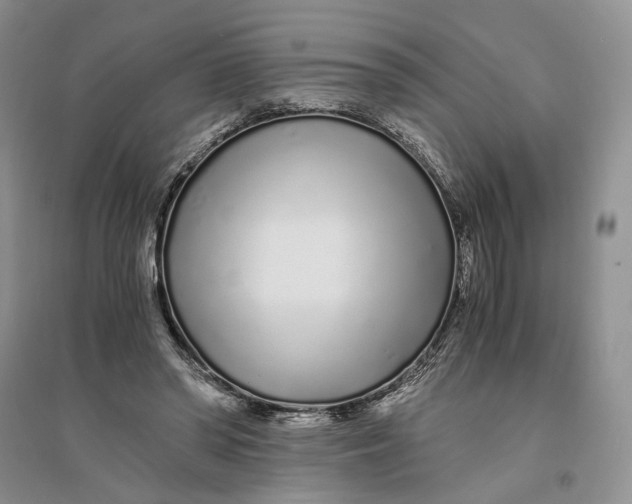 X0000094080398200711091220