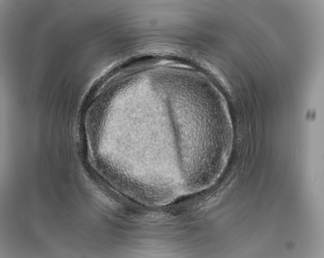 X0000094080399200711091220