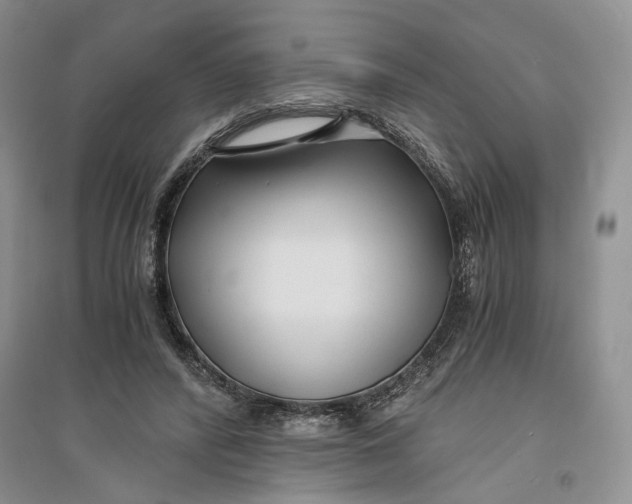 X0000094080400200711091220