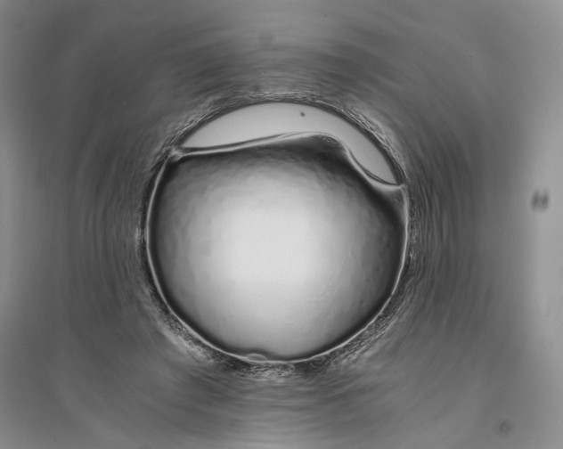 X0000094080401200711091220