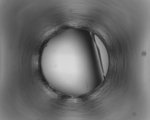 X0000094080404200711091220