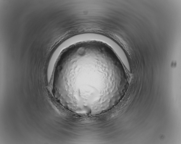X0000094080405200711091220