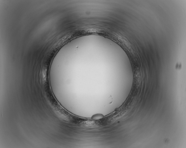 X0000094080406200711091220