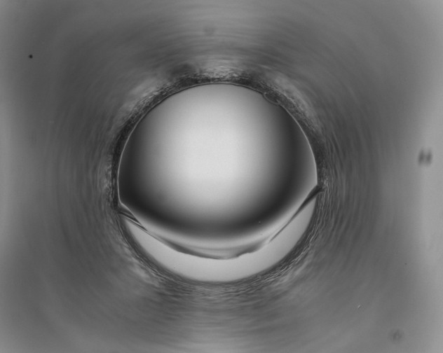 X0000094080407200711091220