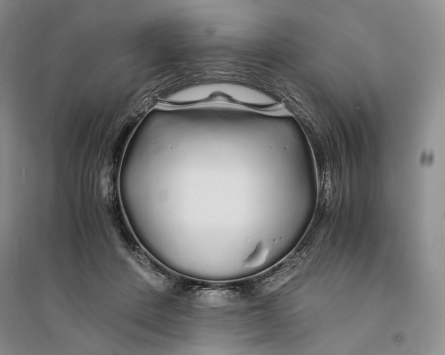 X0000094080408200711091220