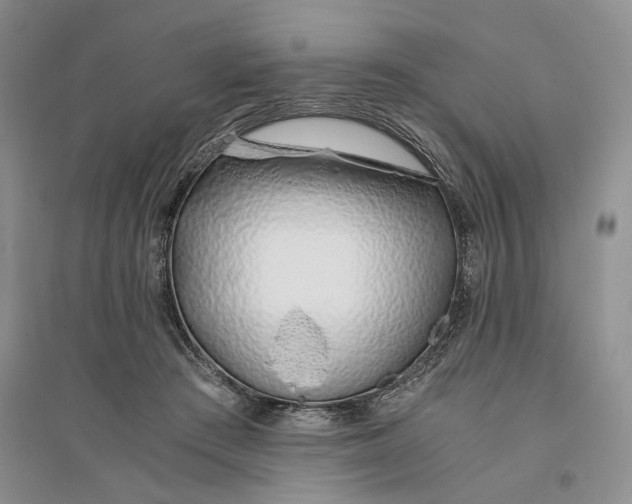 X0000094080409200711091220