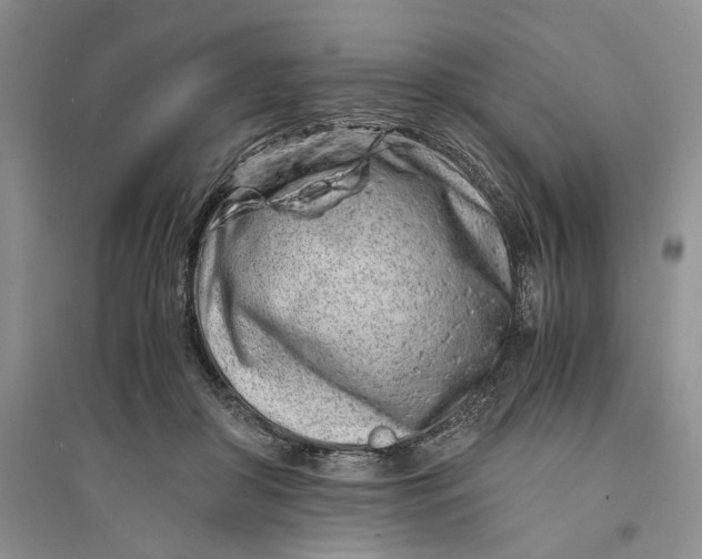 X0000094080410200711091220