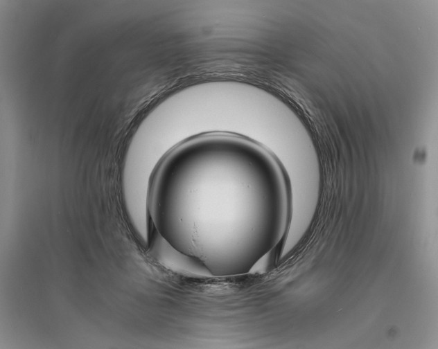 X0000094080411200711091220