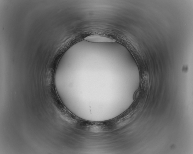 X0000094080412200711091220