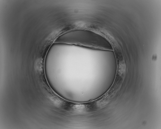 X0000094080413200711091219