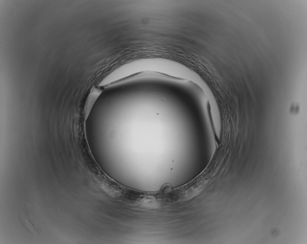 X0000094080416200711091219