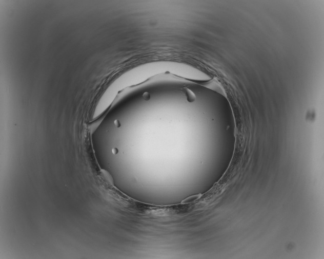 X0000094080417200711091219