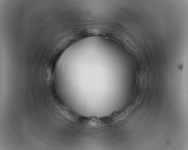 X0000094080420200711091219
