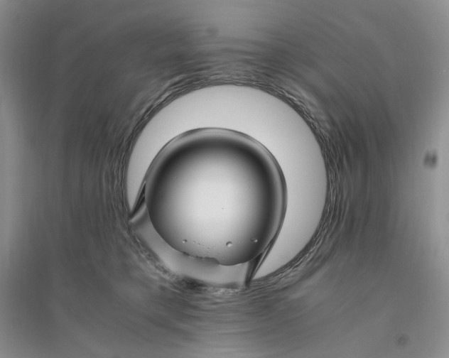 X0000094080421200711091219