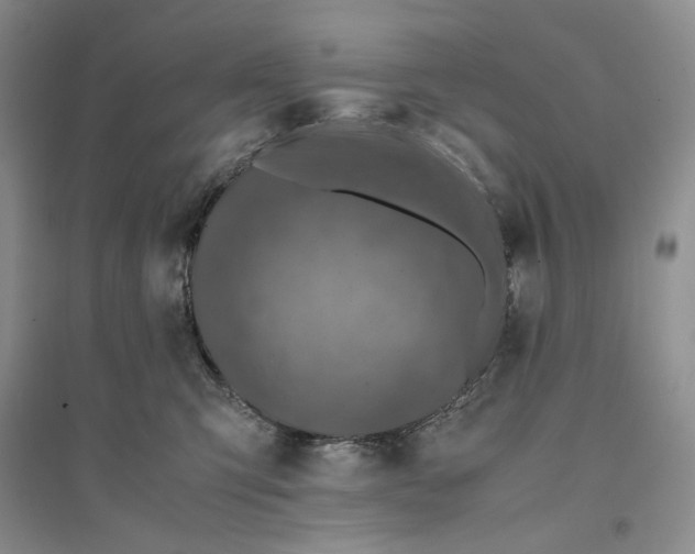 X0000094080423200711091219