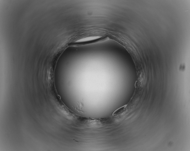 X0000094080424200711091219