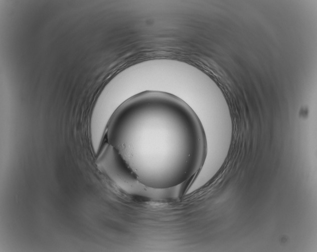 X0000094080425200711091219