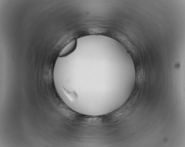 X0000094080426200711091219
