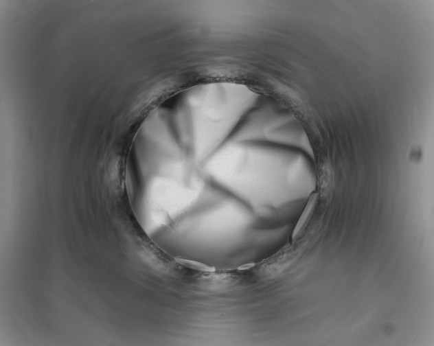 X0000094080428200711091219