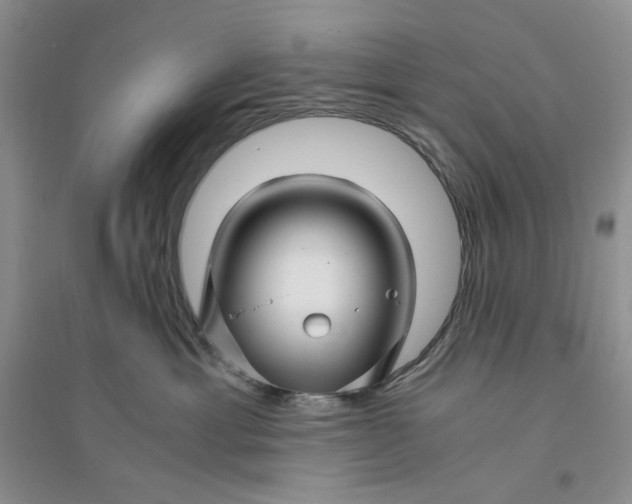 X0000094080429200711091219