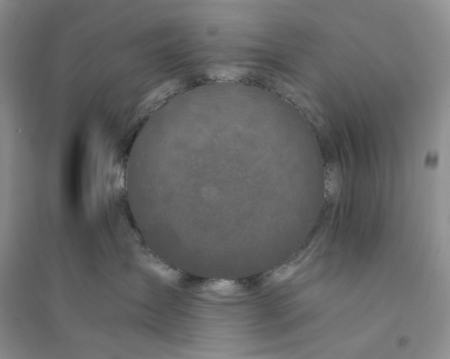 X0000094080431200711091219