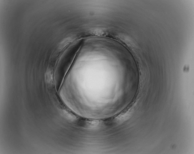 X0000094080432200711091219
