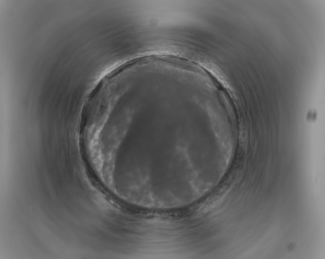 X0000094080434200711091218