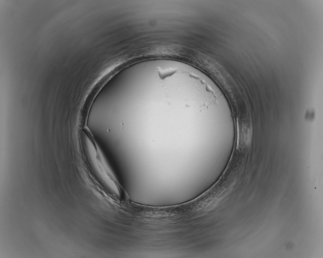 X0000094080435200711091218