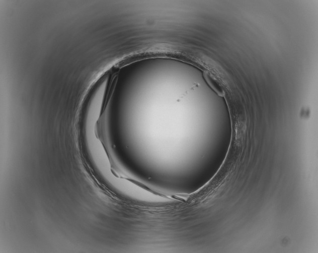 X0000094080436200711091218