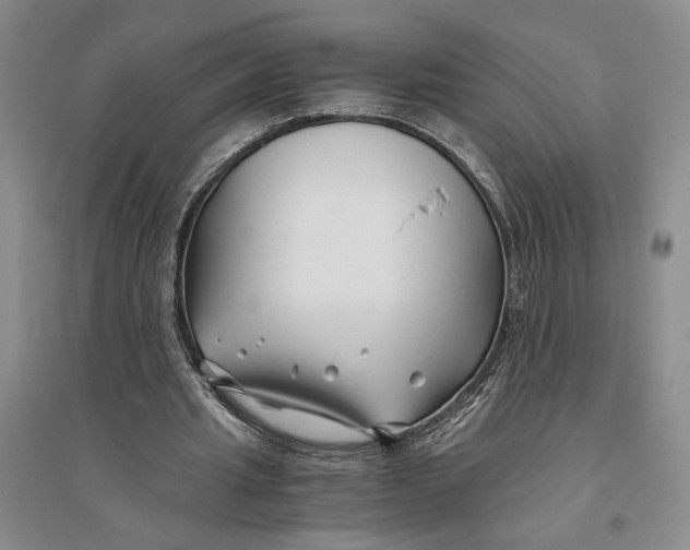 X0000094080437200711091218