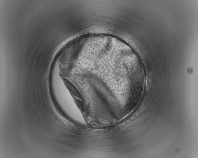 X0000094080438200711091218