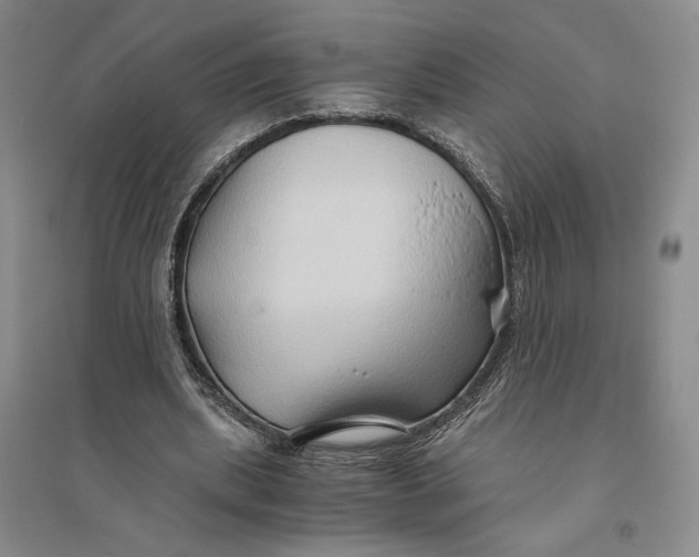 X0000094080439200711091219