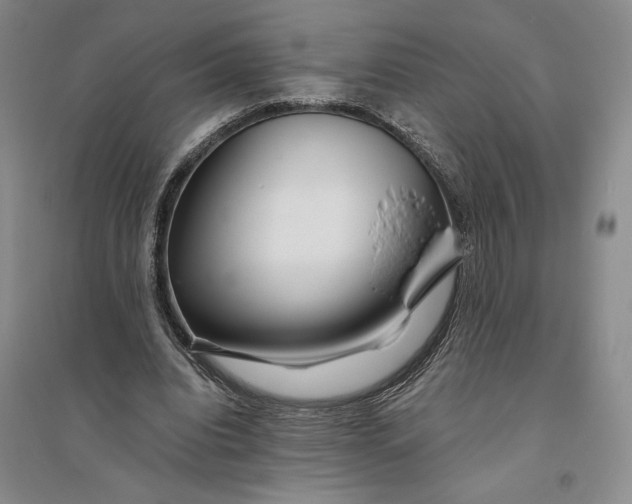 X0000094080440200711091219