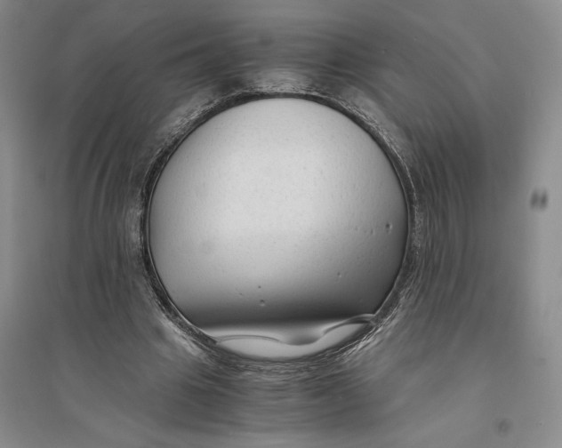 X0000094080441200711091219