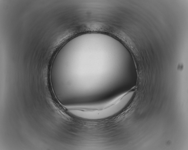 X0000094080442200711091219