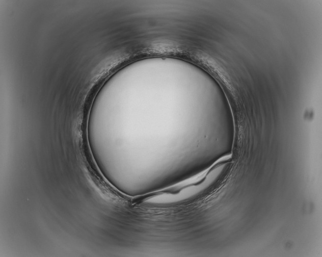 X0000094080443200711091219