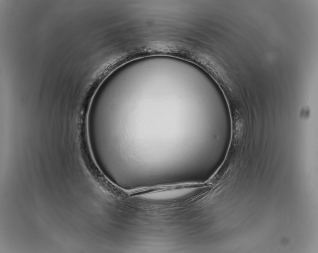 X0000094080444200711091219